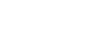 Jadąc samochodem Teresa bawiła się tempomatem